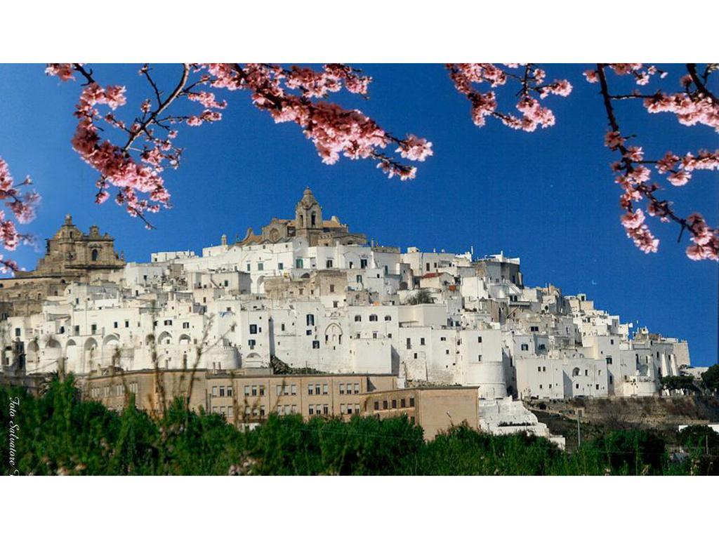 Casa Farella B&B In Suites Apartments Altamura X Matera 外观 照片